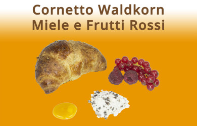 Cornetto Waldkorn Miele e Frutti Rossi